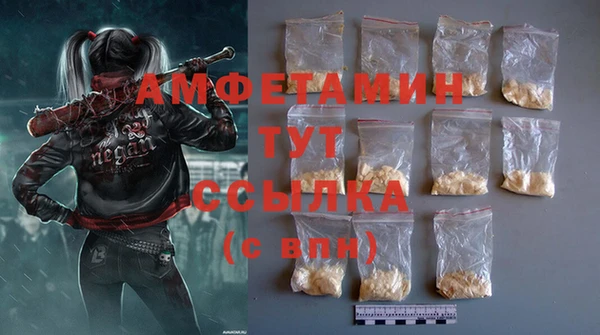 хмурый Горняк