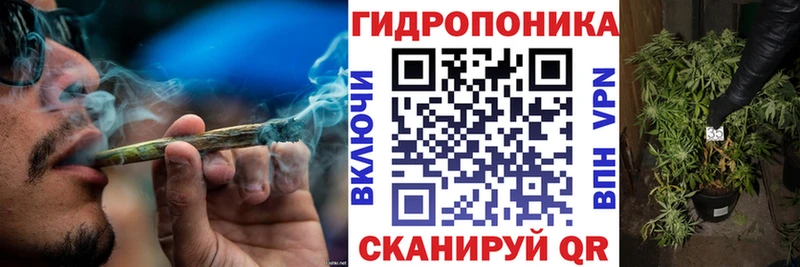 как найти закладки  Жуков  Бошки Шишки SATIVA & INDICA 